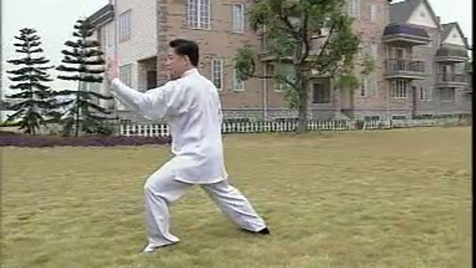 Chen Taichi 56 Competition Routine; 陈式太极拳竞赛套路56